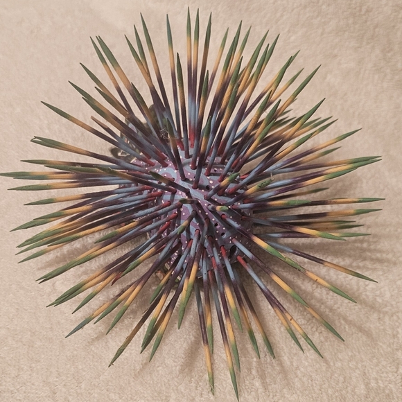 Hand Crafted Oaxacan Mexican Large Alebrije Wood Porcupine Colorful  Beautiful - Picture 3 of 6